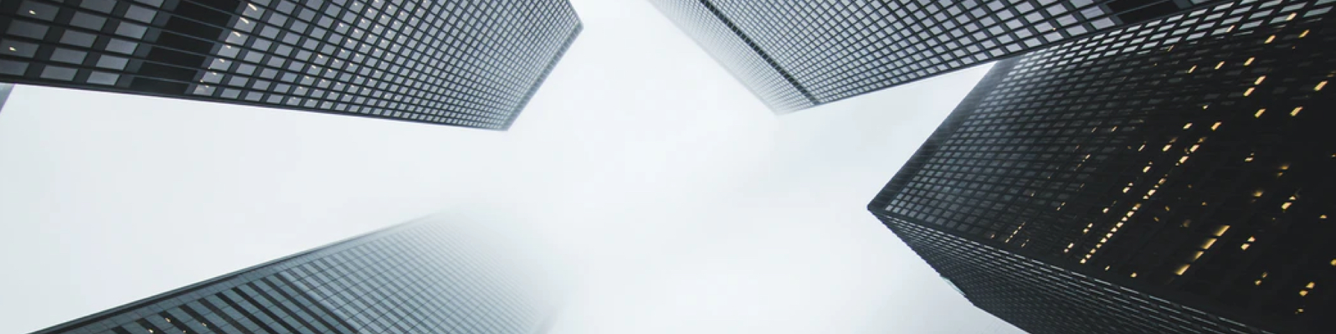 富力集团 富力集团